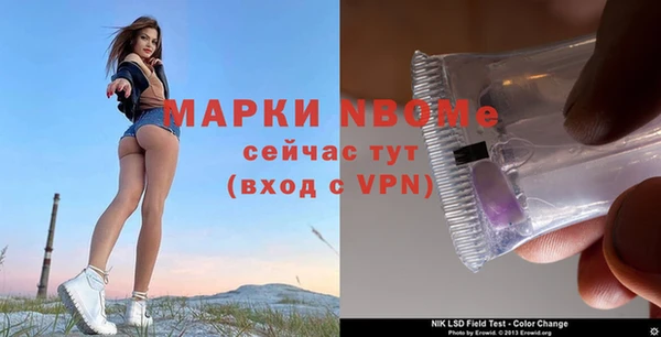 каннабис Майский