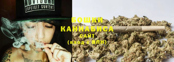 spice Елабуга