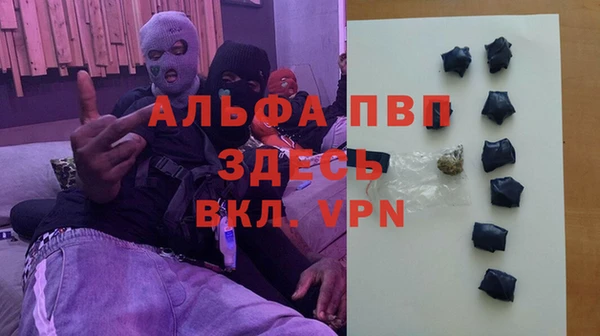 a pvp Магас