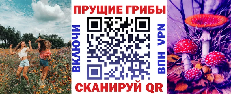 Галлюциногенные грибы MAGIC MUSHROOMS  Томилино 