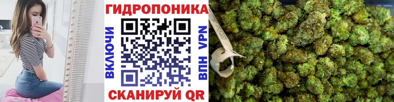 Бошки марихуана AK-47  Томилино 